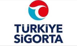 Türkiye Sigorta Berlin’de Kadın Millî Basketbol’a Destek Oldu