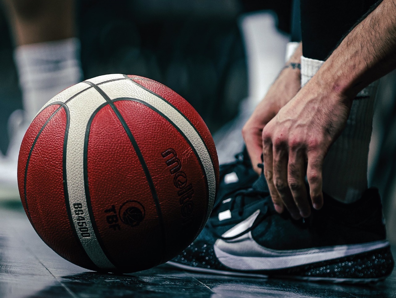 Basketbol Süper Ligi yeni sezon