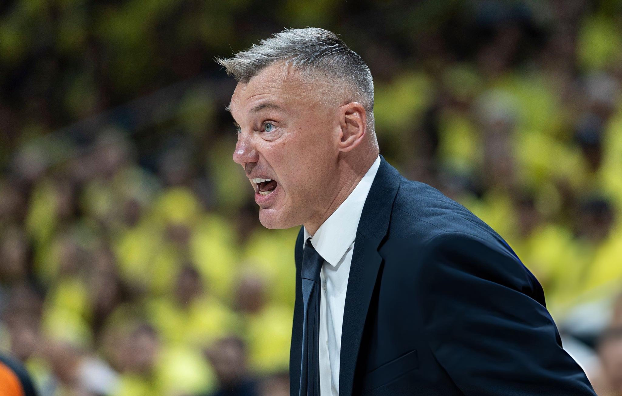 Saras Jasikevicius Fenerbahçe Başantrenör
